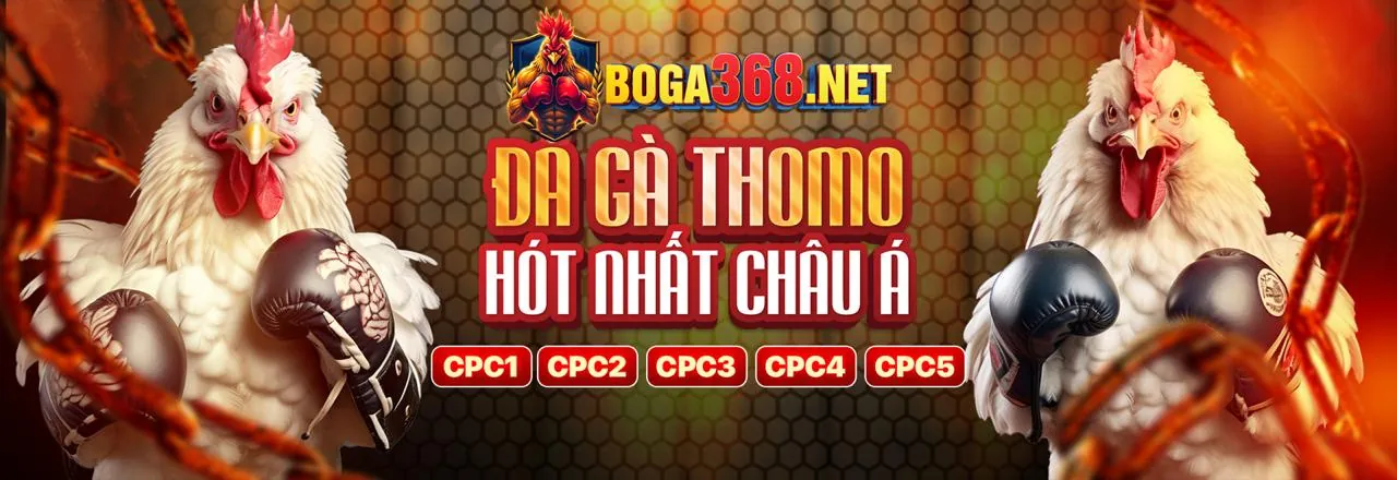 Cá cược thể thao 5pro link mới với các môn bóng đá, bóng rổ và e-sports